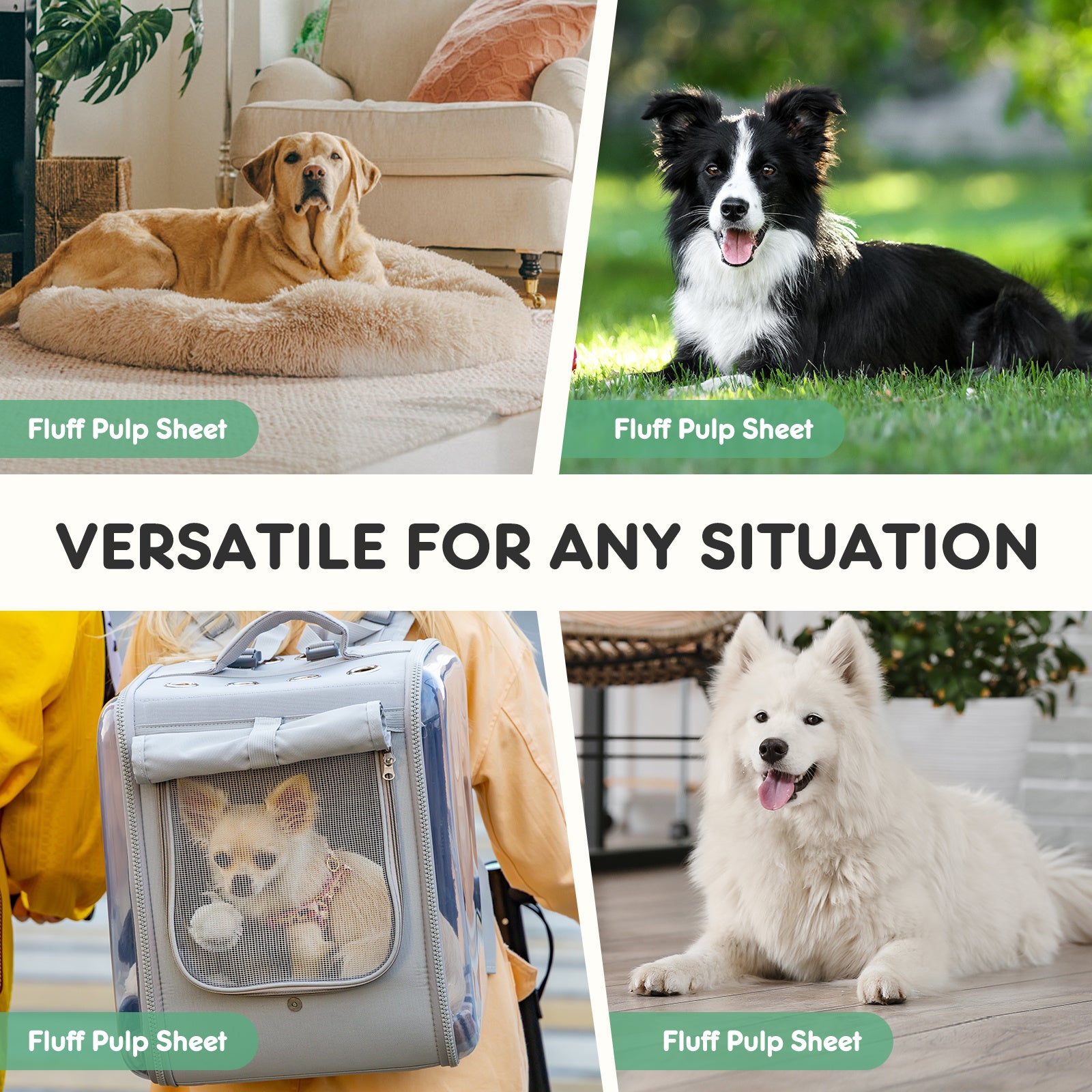 Mess-Free Dog Pee Pads – Strong, Absorbent, Disposable