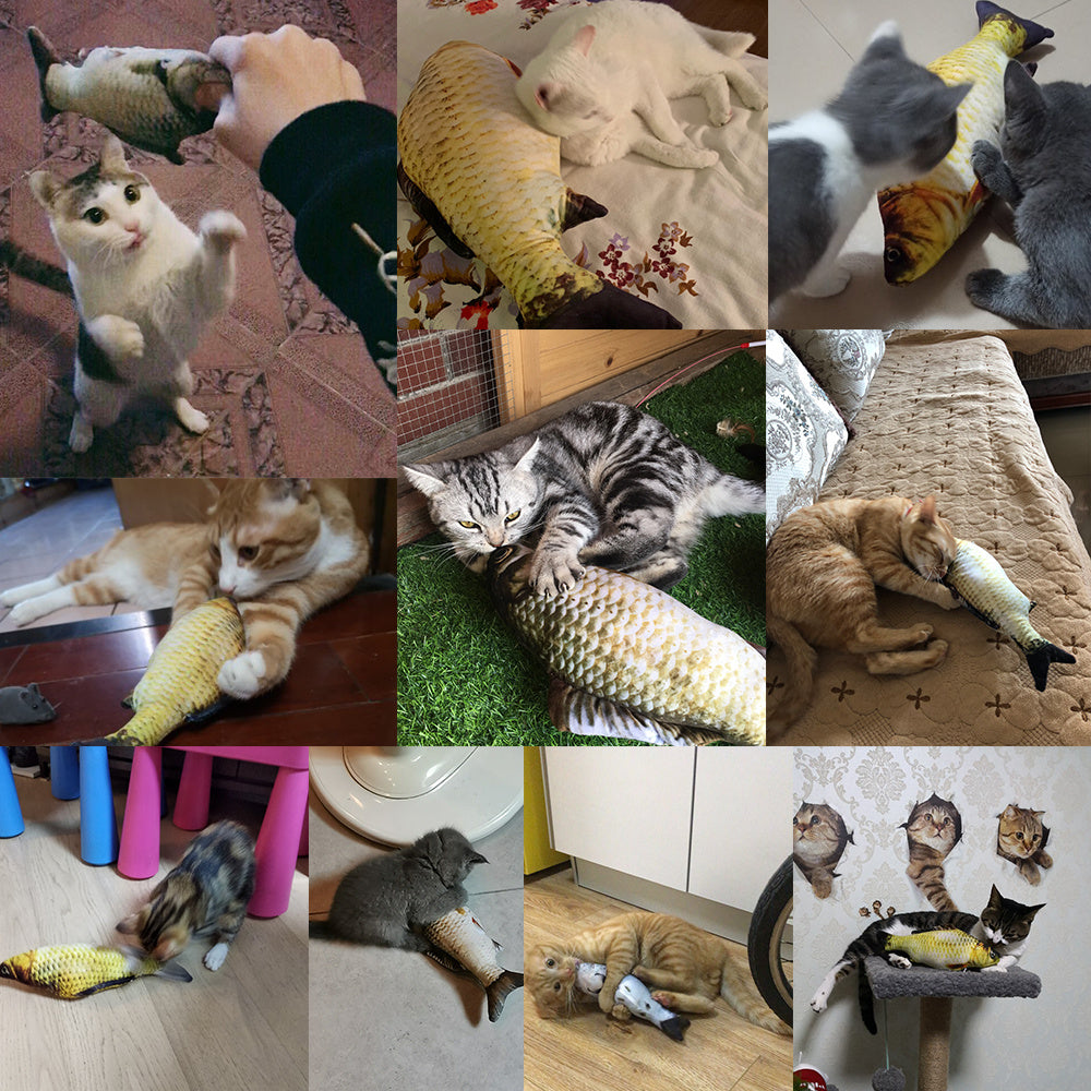 Lively Fish Toy for Cats – Catnip-Free, Pure Fun