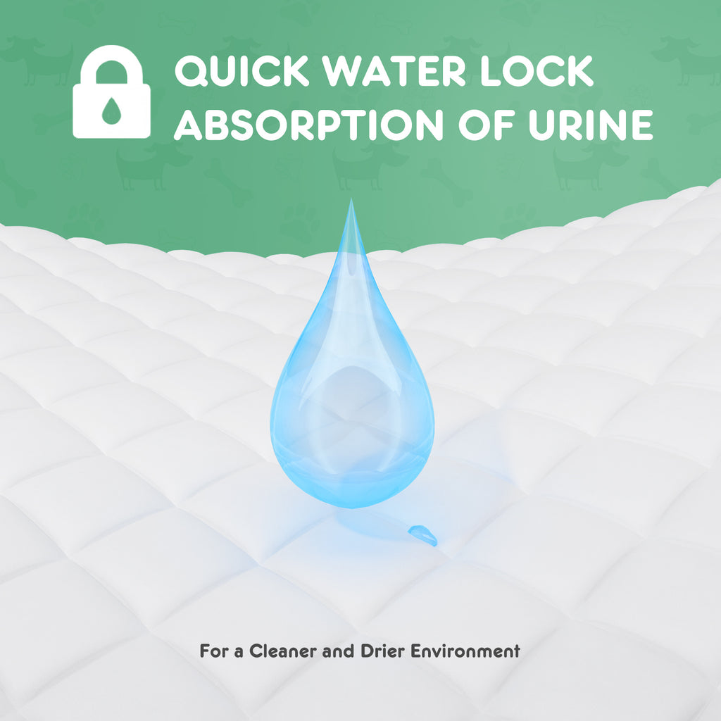 Mess-Free Dog Pee Pads – Strong, Absorbent, Disposable