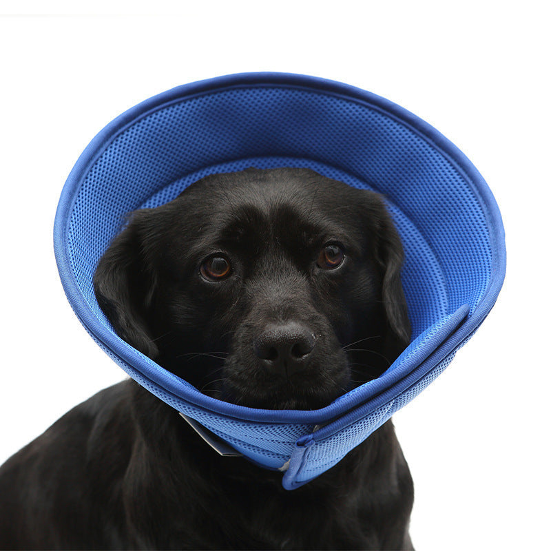 Soft Edge Recovery Collar – Stress-Free Healing for Pets