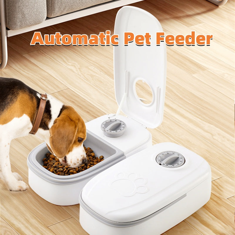 Automatic Pet Feeder – Easy Feeding for Busy Days